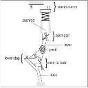 Generating Multiple New Designs from a Sketch